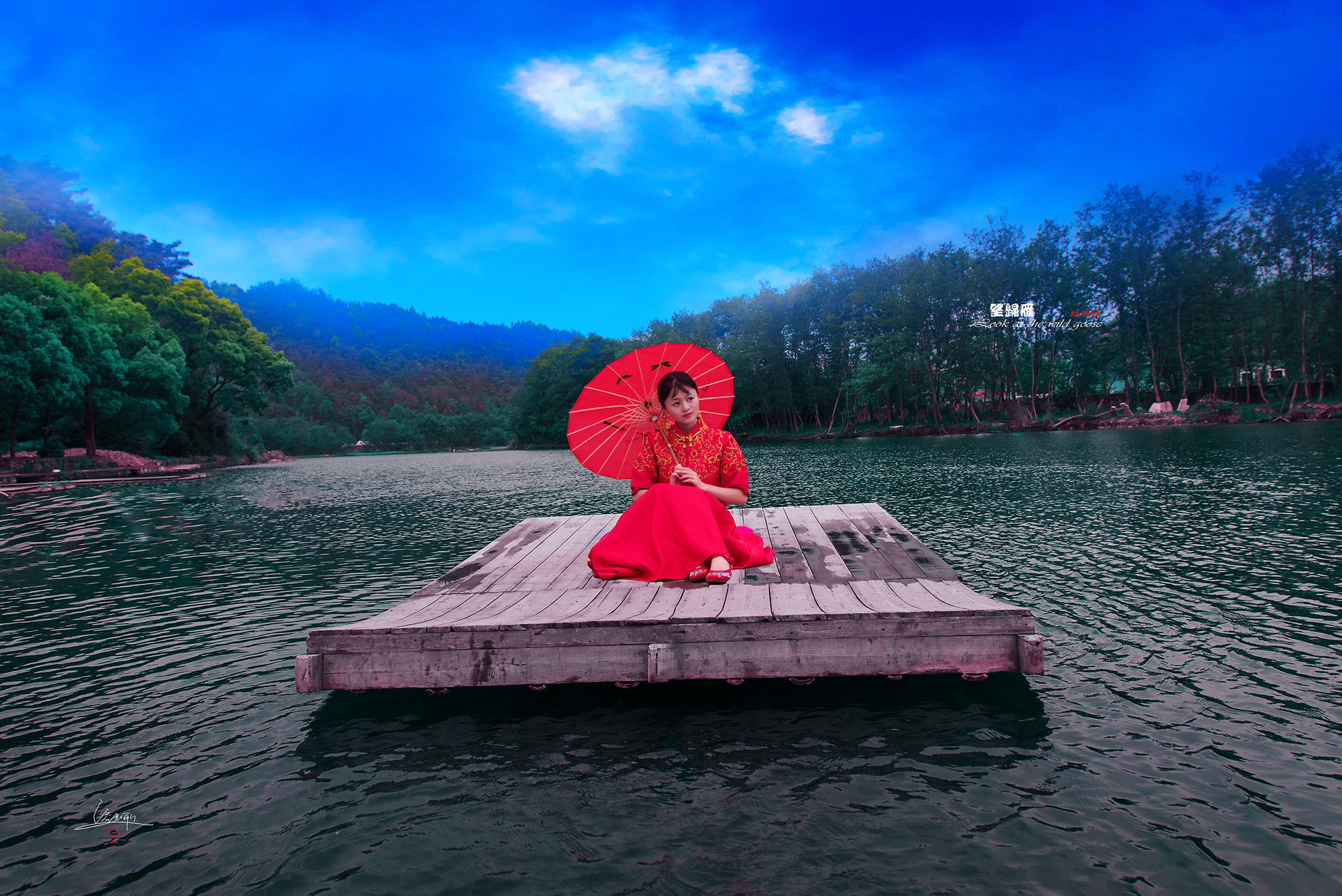 枫叶情之三——望归雁